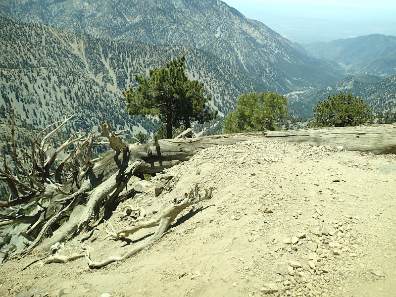 2014 Mt Baldy Cali 121.JPG - Summit Mt San Antonio (Mt Baldy) California